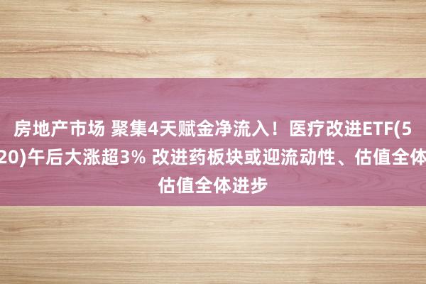 房地产市场 聚集4天赋金净流入！医疗改进ETF(516820)午后大涨超3% 改进药板块或迎流动性、估值全体进步