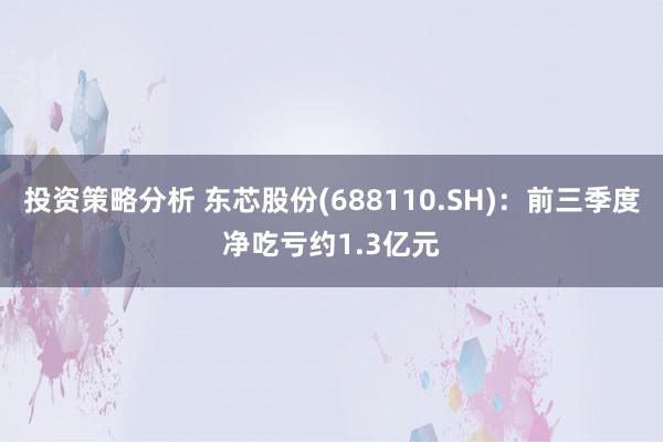 投资策略分析 东芯股份(688110.SH)：前三季度净吃亏约1.3亿元