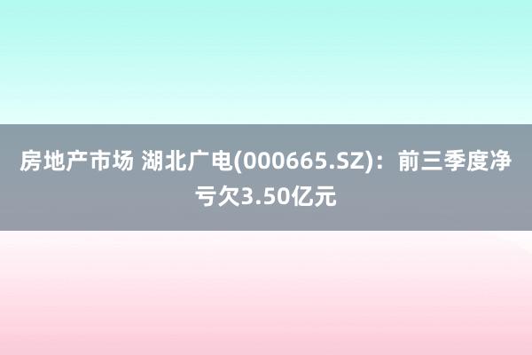 房地产市场 湖北广电(000665.SZ)：前三季度净亏欠3.50亿元