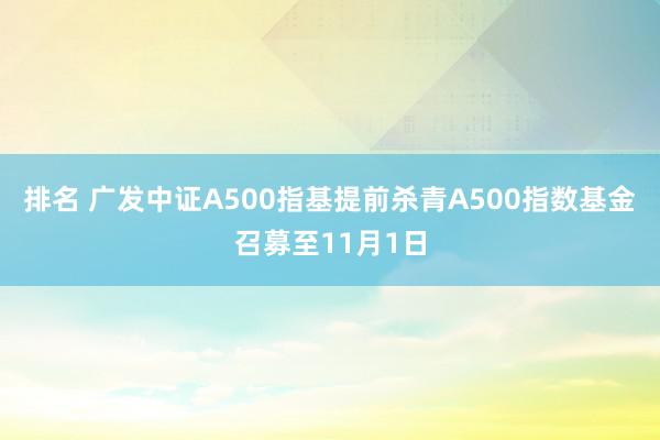 排名 广发中证A500指基提前杀青A500指数基金召募至11月1日