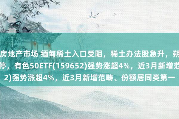 房地产市场 缅甸稀土入口受阻，稀土办法股急升，朔方稀土、中国稀土涨停，有色50ETF(159652)强势涨超4%，近3月新增范畴、份额居同类第一