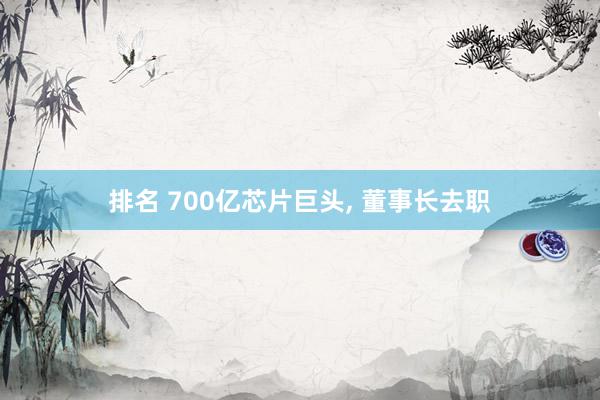 排名 700亿芯片巨头, 董事长去职