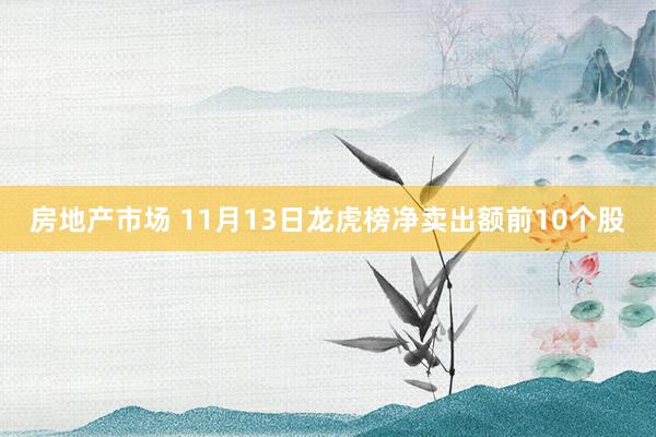 房地产市场 11月13日龙虎榜净卖出额前10个股