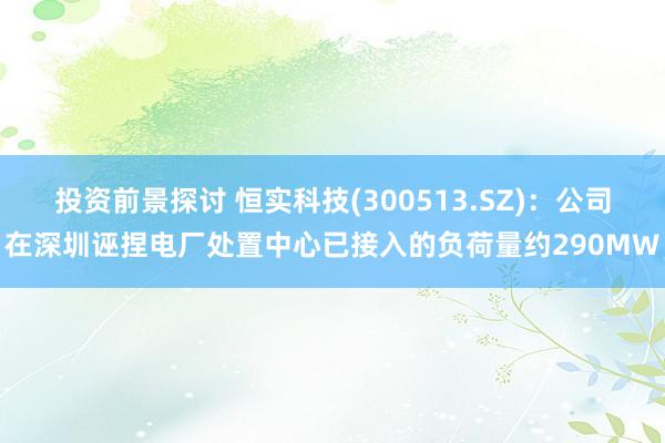 投资前景探讨 恒实科技(300513.SZ)：公司在深圳诬捏电厂处置中心已接入的负荷量约290MW