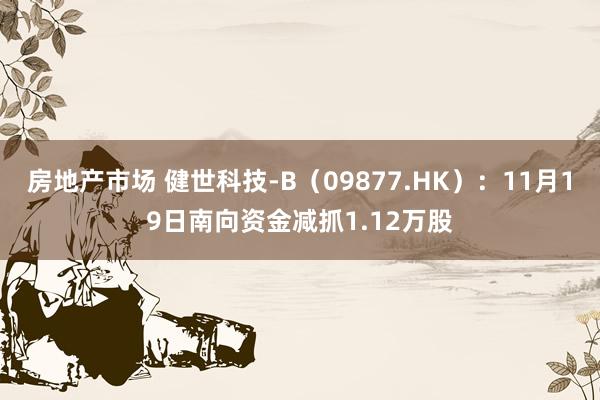 房地产市场 健世科技-B（09877.HK）：11月19日南向资金减抓1.12万股