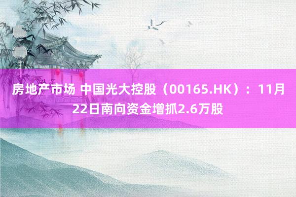 房地产市场 中国光大控股（00165.HK）：11月22日南向资金增抓2.6万股