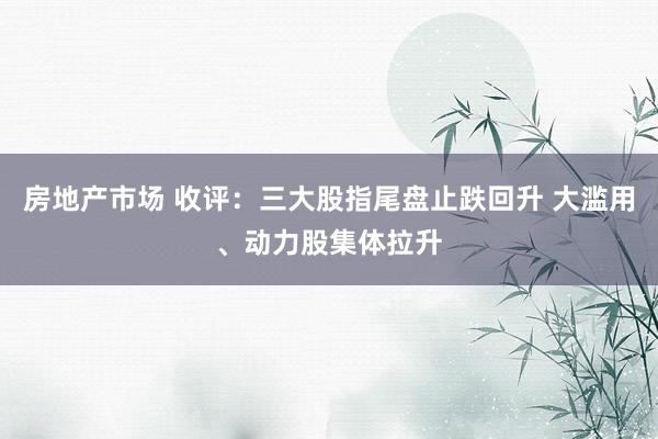 房地产市场 收评：三大股指尾盘止跌回升 大滥用、动力股集体拉升