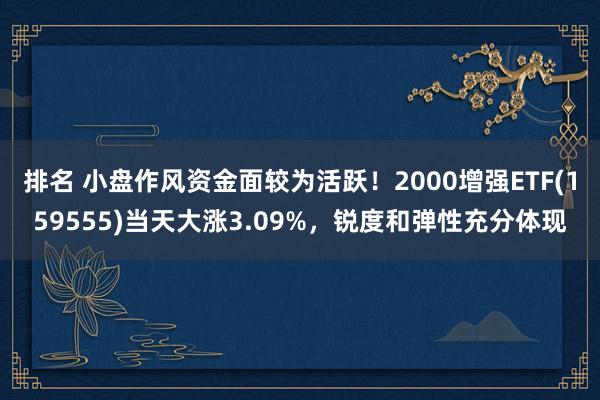 排名 小盘作风资金面较为活跃！2000增强ETF(159555)当天大涨3.09%，锐度和弹性充分体现