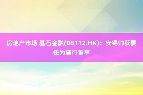 房地产市场 基石金融(08112.HK)：安锡帅获委任为施行董事