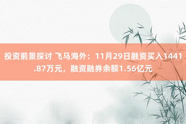 投资前景探讨 飞马海外：11月29日融资买入1441.87万元，融资融券余额1.56亿元