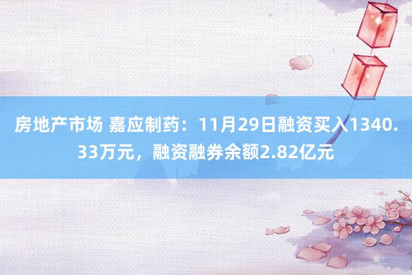 房地产市场 嘉应制药：11月29日融资买入1340.33万元，融资融券余额2.82亿元