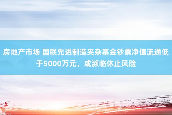 房地产市场 国联先进制造夹杂基金钞票净值流通低于5000万元，或濒临休止风险