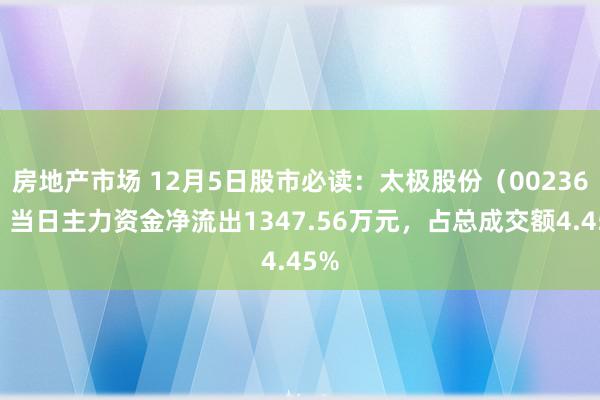 房地产市场 12月5日股市必读：太极股份（002368）当日主力资金净流出1347.56万元，占总成交额4.45%