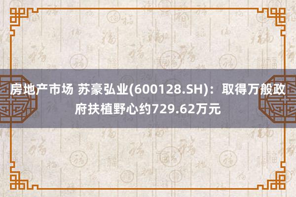 房地产市场 苏豪弘业(600128.SH)：取得万般政府扶植野心约729.62万元