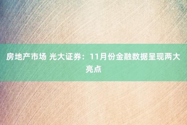 房地产市场 光大证券：11月份金融数据呈现两大亮点