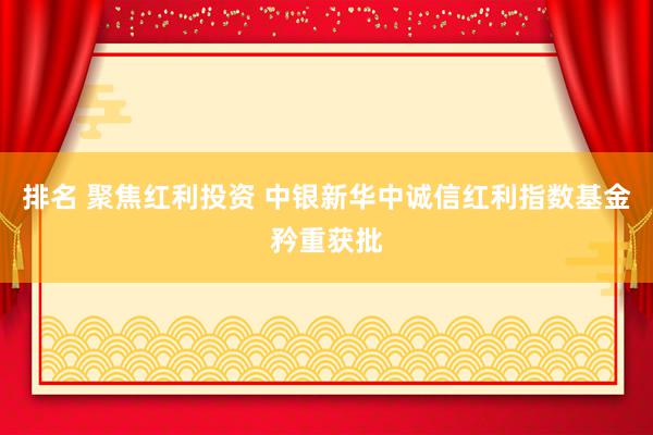 排名 聚焦红利投资 中银新华中诚信红利指数基金矜重获批