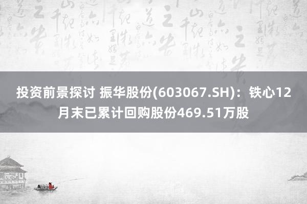 投资前景探讨 振华股份(603067.SH)：铁心12月末已累计回购股份469.51万股