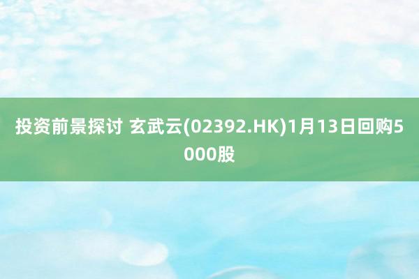 投资前景探讨 玄武云(02392.HK)1月13日回购5000股