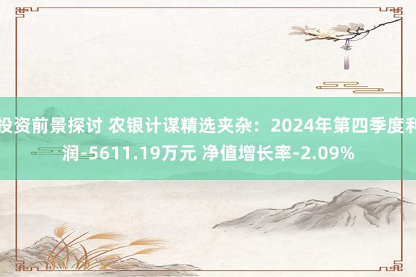 投资前景探讨 农银计谋精选夹杂：2024年第四季度利润-5611.19万元 净值增长率-2.09%