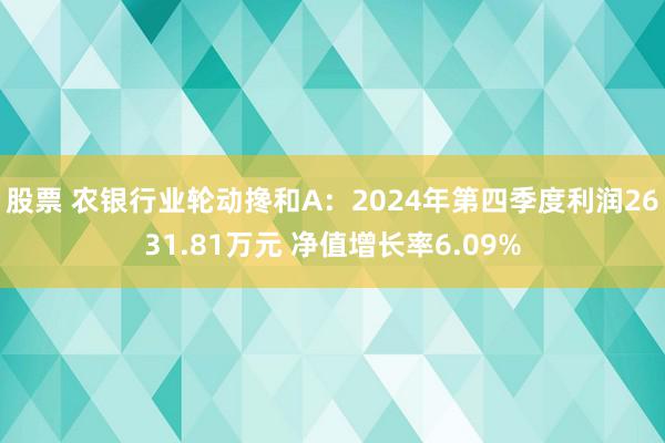 股票 农银行业轮动搀和A：2024年第四季度利润2631.81万元 净值增长率6.09%