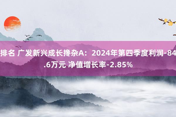 排名 广发新兴成长搀杂A：2024年第四季度利润-84.6万元 净值增长率-2.85%