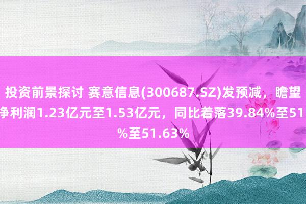 投资前景探讨 赛意信息(300687.SZ)发预减，瞻望年度净利润1.23亿元至1.53亿元，同比着落39.84%至51.63%