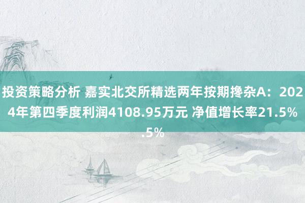 投资策略分析 嘉实北交所精选两年按期搀杂A：2024年第四季度利润4108.95万元 净值增长率21.5%