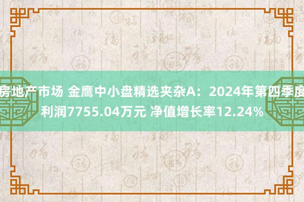 房地产市场 金鹰中小盘精选夹杂A：2024年第四季度利润7755.04万元 净值增长率12.24%