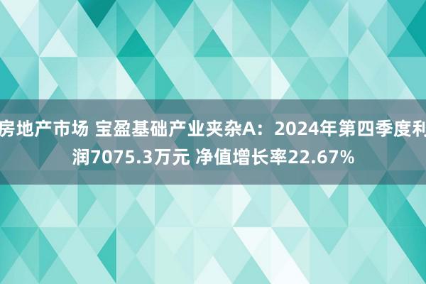 房地产市场 宝盈基础产业夹杂A：2024年第四季度利润7075.3万元 净值增长率22.67%