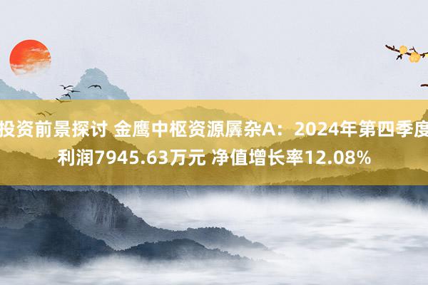 投资前景探讨 金鹰中枢资源羼杂A：2024年第四季度利润7945.63万元 净值增长率12.08%