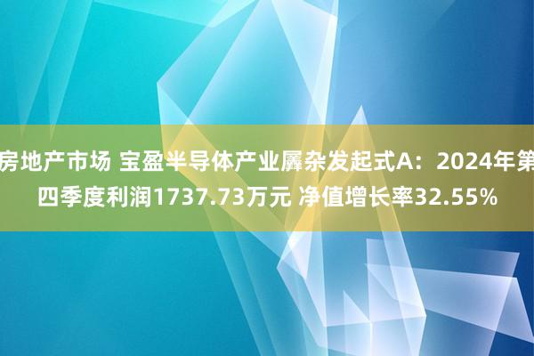 房地产市场 宝盈半导体产业羼杂发起式A：2024年第四季度利润1737.73万元 净值增长率32.55%