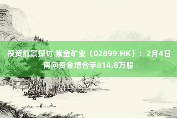 投资前景探讨 紫金矿业（02899.HK）：2月4日南向资金增合手814.8万股