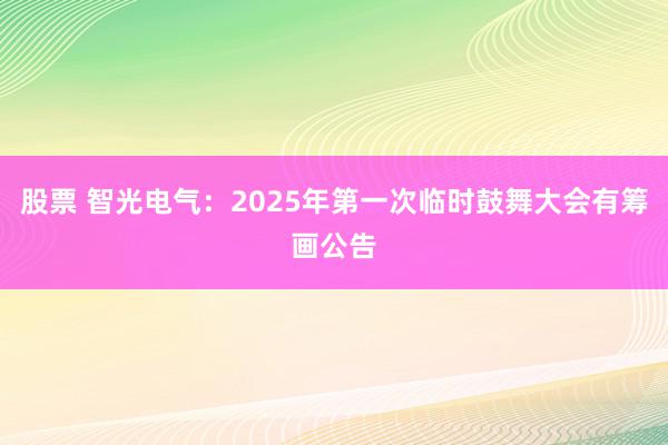 股票 智光电气：2025年第一次临时鼓舞大会有筹画公告