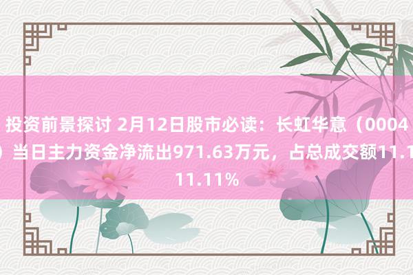 投资前景探讨 2月12日股市必读：长虹华意（000404）当日主力资金净流出971.63万元，占总成交额11.11%