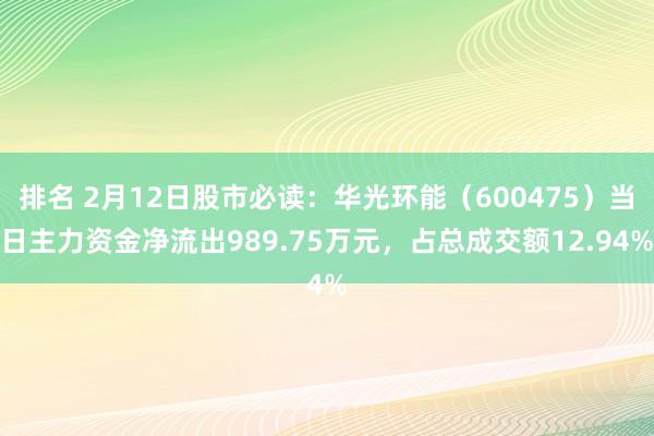 排名 2月12日股市必读：华光环能（600475）当日主力资金净流出989.75万元，占总成交额12.94%