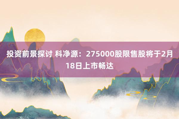 投资前景探讨 科净源：275000股限售股将于2月18日上市畅达