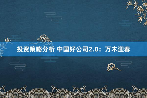 投资策略分析 中国好公司2.0：万木迎春