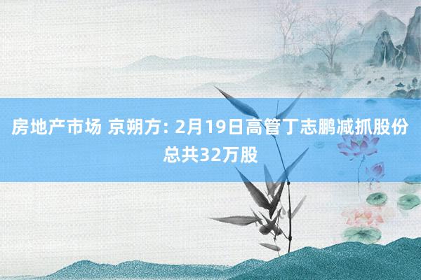 房地产市场 京朔方: 2月19日高管丁志鹏减抓股份总共32万股