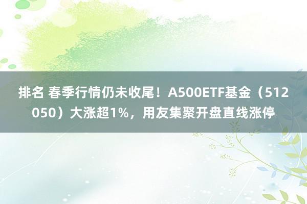 排名 春季行情仍未收尾！A500ETF基金（512050）大涨超1%，用友集聚开盘直线涨停