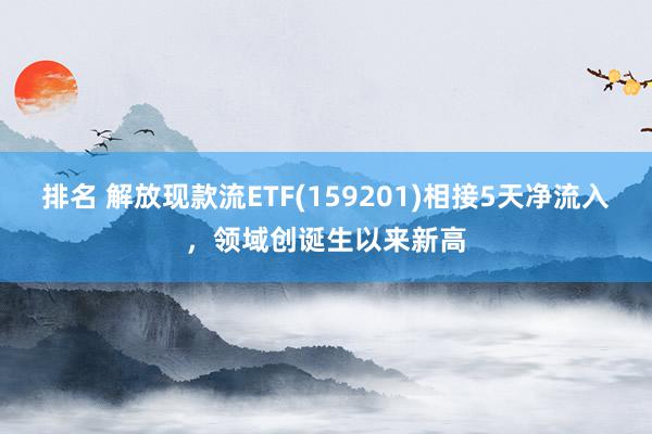 排名 解放现款流ETF(159201)相接5天净流入，领域创诞生以来新高