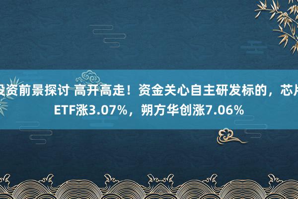 投资前景探讨 高开高走！资金关心自主研发标的，芯片ETF涨3.07%，朔方华创涨7.06%