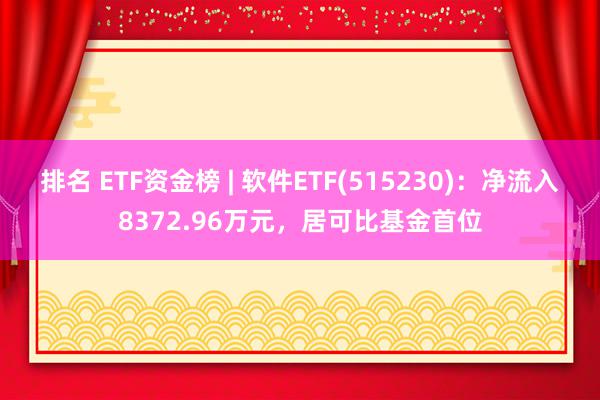 排名 ETF资金榜 | 软件ETF(515230)：净流入8372.96万元，居可比基金首位