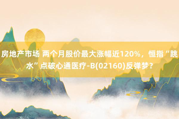 房地产市场 两个月股价最大涨幅近120%，恒指“跳水”点破心通医疗-B(02160)反弹梦？