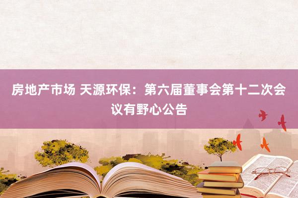 房地产市场 天源环保：第六届董事会第十二次会议有野心公告